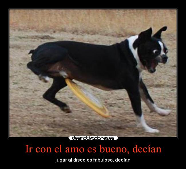 Ir con el amo es bueno, decían - 