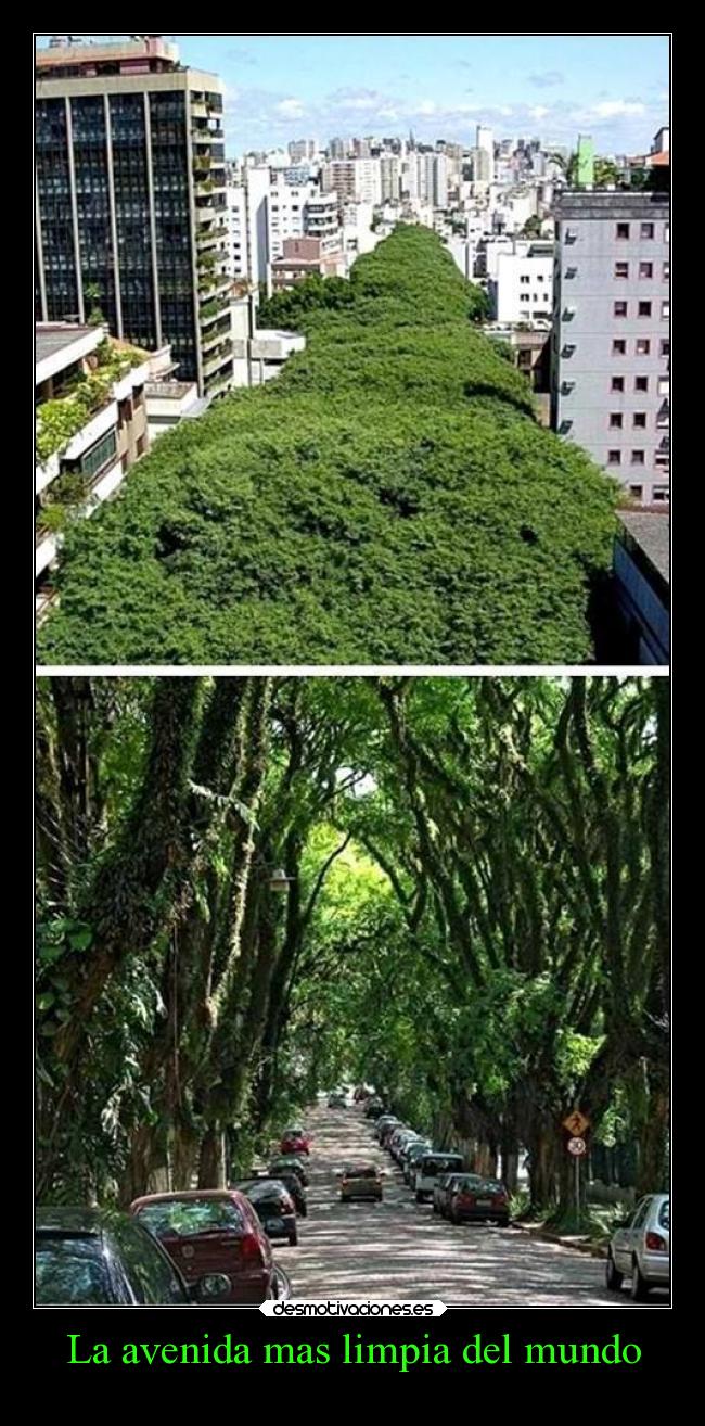 La avenida mas limpia del mundo - 