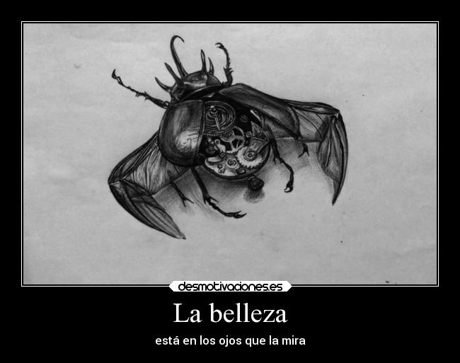 La belleza - está en los ojos que la mira