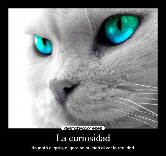 La curiosidad -