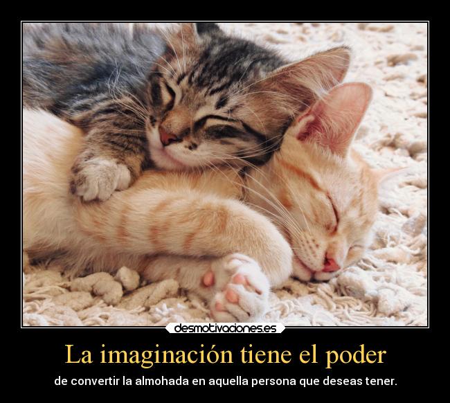 carteles imaginacion telyg ejercitodemar zoorrogico aisht desmotivaciones