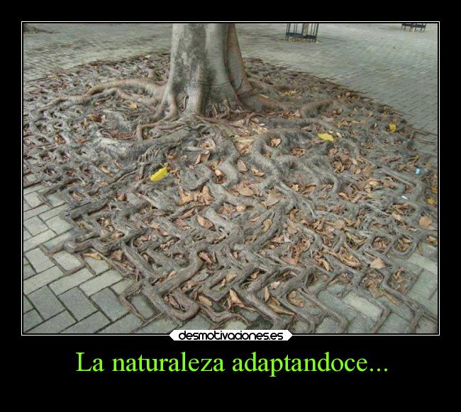 La naturaleza adaptandoce... - 