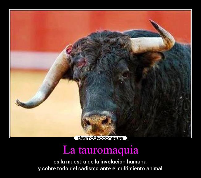La tauromaquia - es la muestra de la involución humana
y sobre todo del sadismo ante el sufrimiento animal.