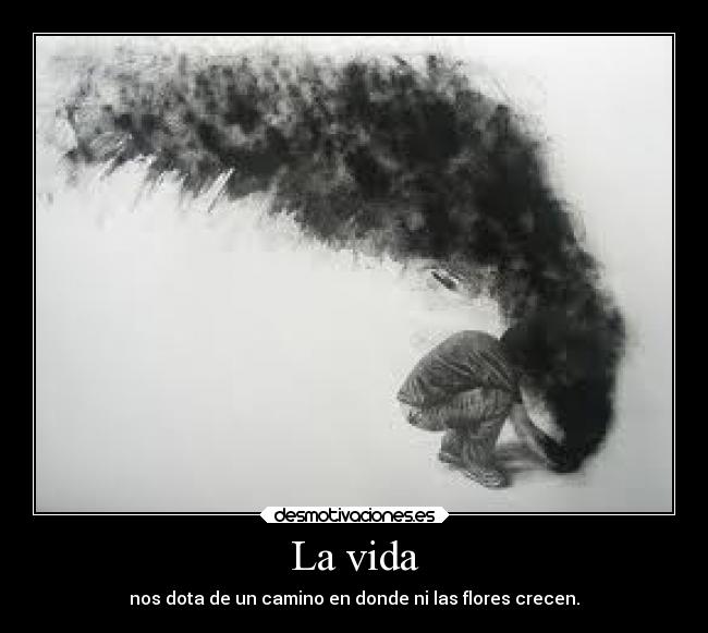 carteles vida concilio desmotivaciones