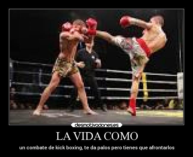 LA VIDA COMO - un combate de kick boxing, te da palos pero tienes que afrontarlos