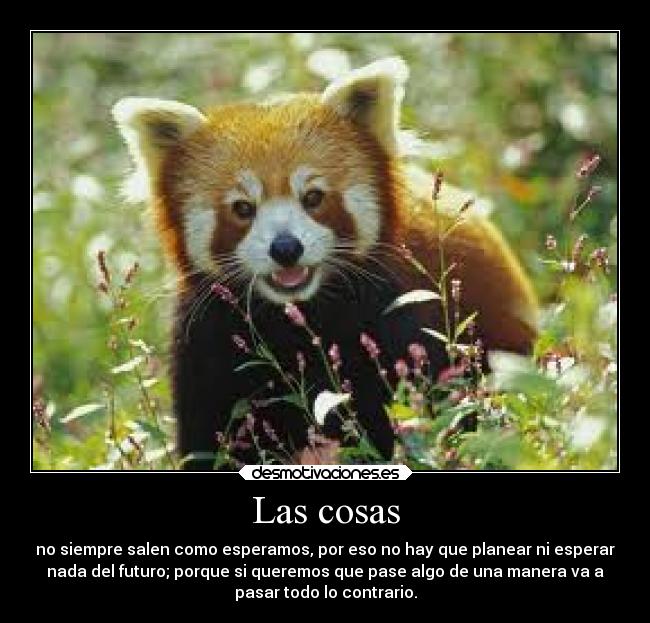 carteles sentimientos desmotivaciones