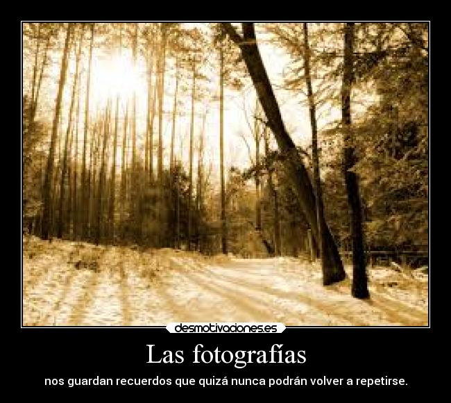 Las fotografías - 