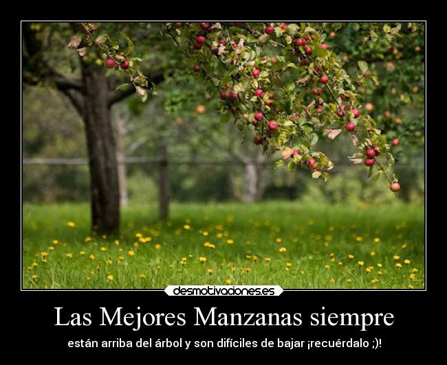 Las Mejores Manzanas siempre -