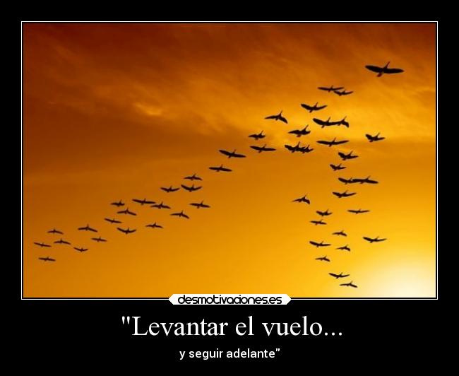 Levantar el vuelo... - y seguir adelante