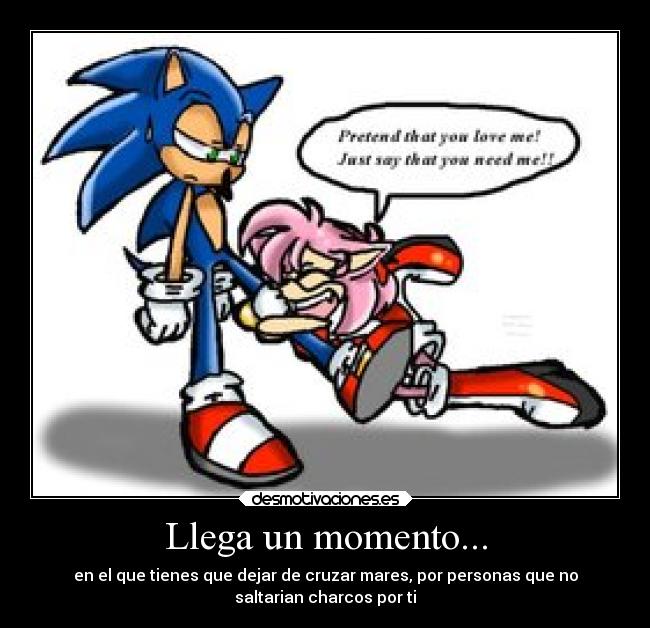 carteles anti sonamy sonic amy rose desmotivaciones