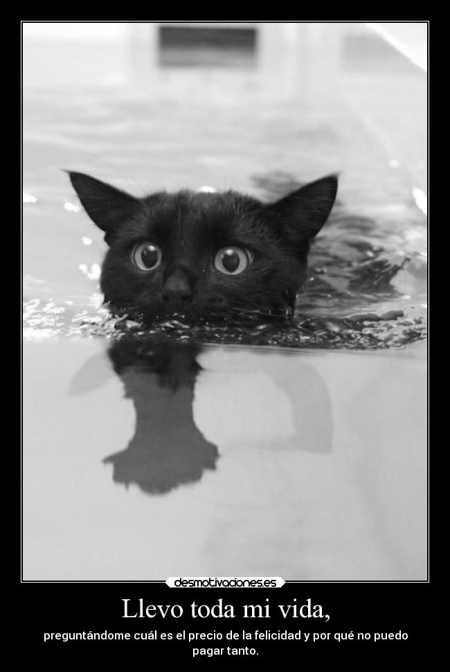 carteles vida vida precio desmotivaciones