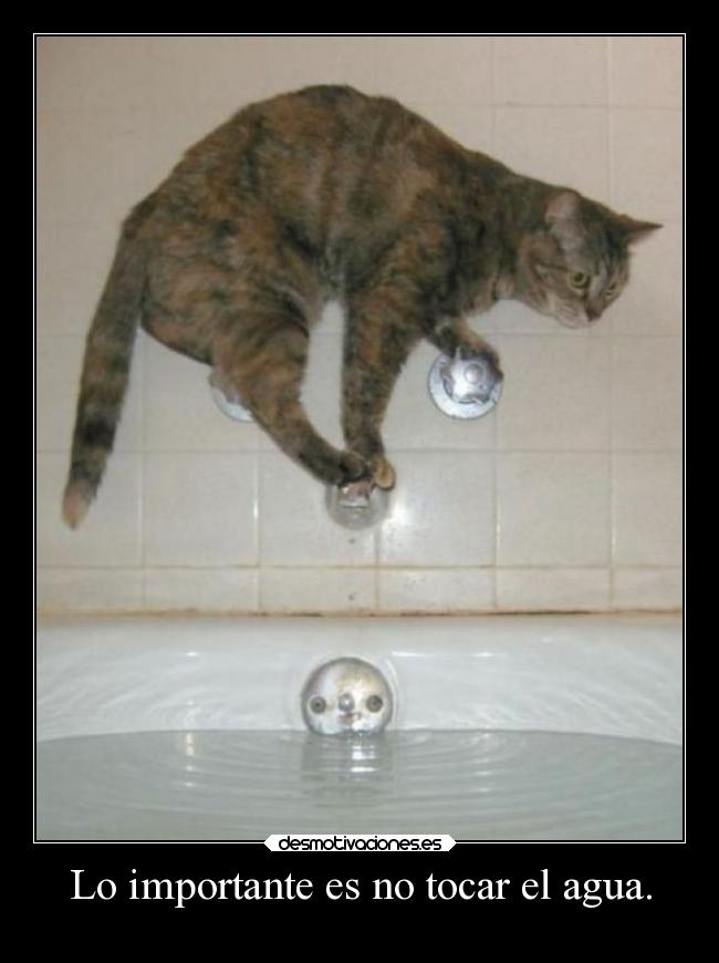 carteles desmotivaciones aiii papa sabe hacer tartas desmotivaciones