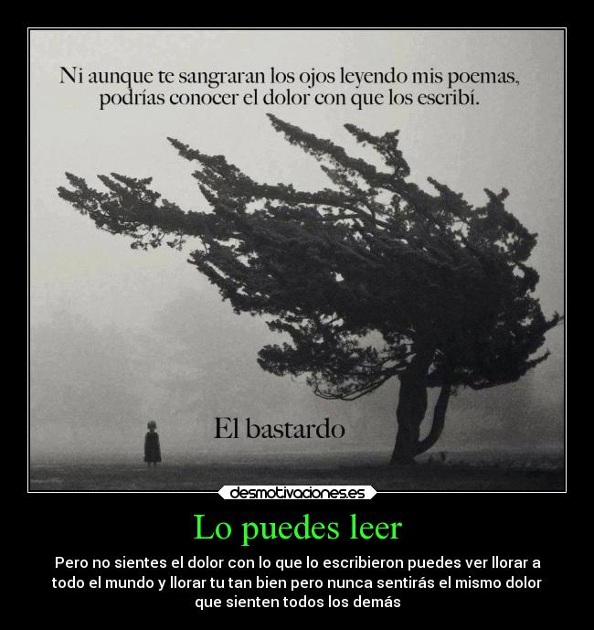 Lo puedes leer - Pero no sientes el dolor con lo que lo escribieron puedes ver llorar a
todo el mundo y llorar tu tan bien pero nunca sentirás el mismo dolor
que sienten todos los demás