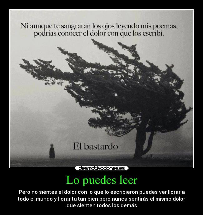 Lo puedes leer - Pero no sientes el dolor con lo que lo escribieron puedes ver llorar a
todo el mundo y llorar tu tan bien pero nunca sentirás el mismo dolor
que sienten todos los demás