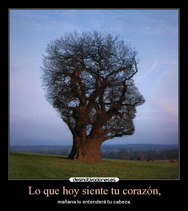 Lo que hoy siente tu corazón, - 