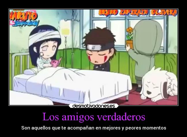 Los amigos verdaderos - Son aquellos que te acompañan en mejores y peores momentos