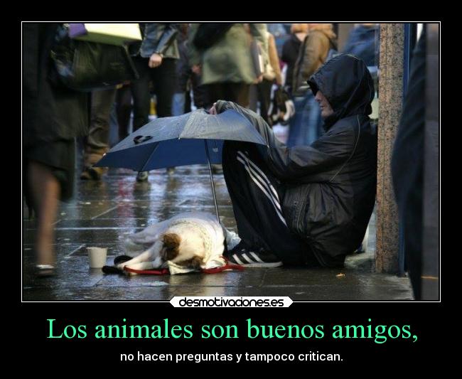 Los animales son buenos amigos, -