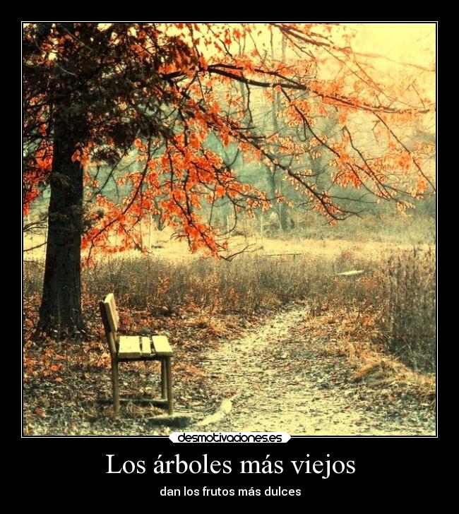 Los árboles más viejos -