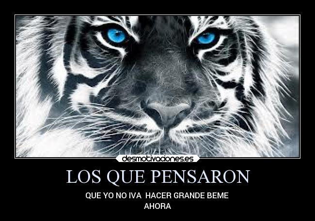 carteles confianza desmotivaciones