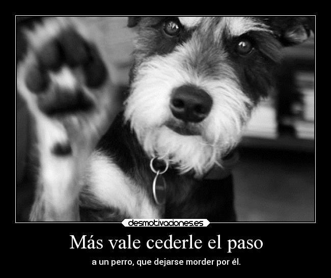 Más vale cederle el paso - a un perro, que dejarse morder por él.