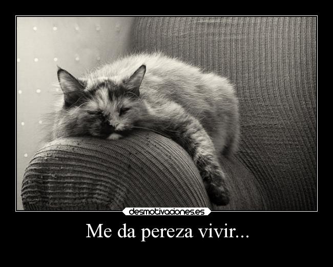 Me da pereza vivir... -
