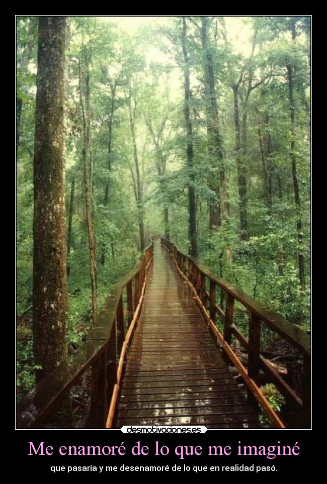 Me enamoré de lo que me imaginé - 