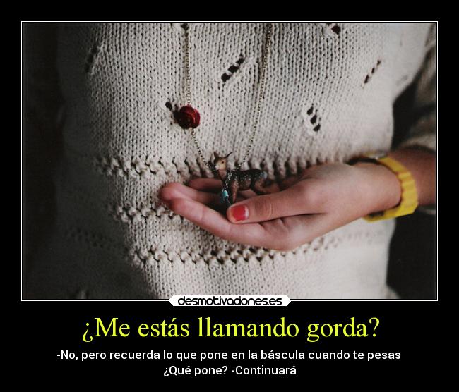 ¿Me estás llamando gorda? - 