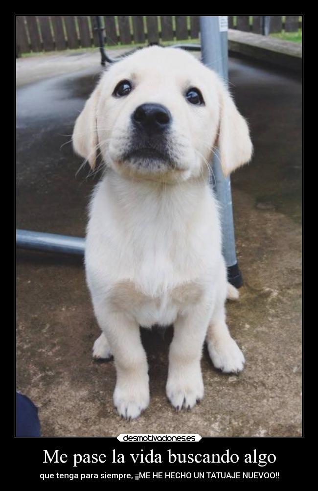 Me pase la vida buscando algo - que tenga para siempre, ¡¡ME HE HECHO UN TATUAJE NUEVOO!!