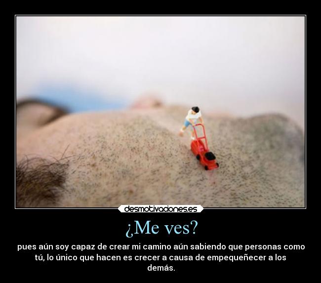 carteles crecer desmotivaciones