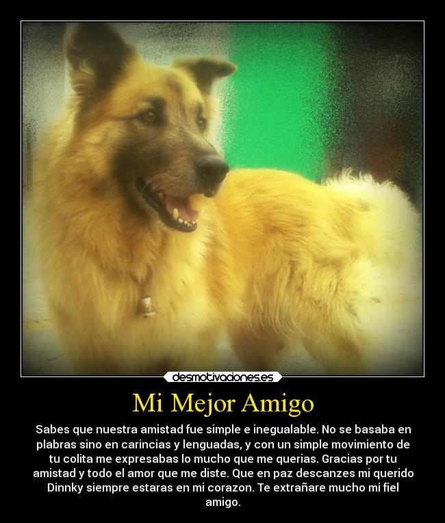 Mi Mejor Amigo - 