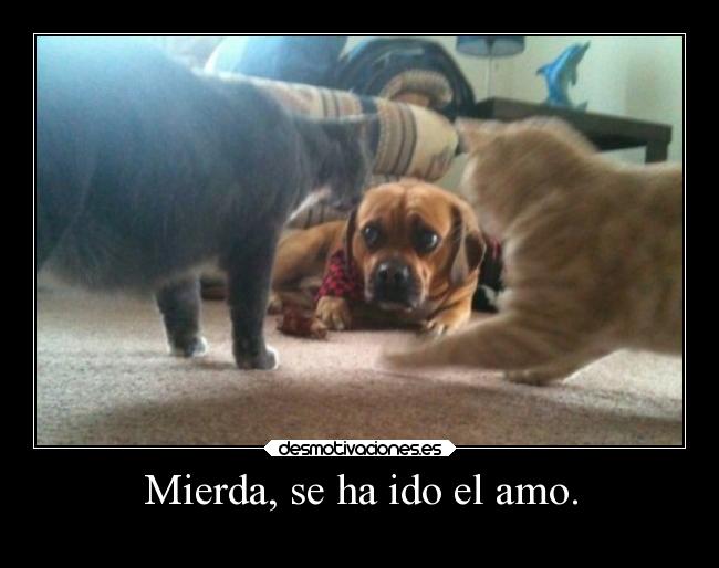 Mierda, se ha ido el amo. - 