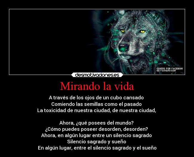 Mirando la vida - A través de los ojos de un cubo cansado
Comiendo las semillas como el pasado
La toxicidad de nuestra ciudad, de nuestra ciudad,
Ahora, ¿qué posees del mundo?
¿Cómo puedes poseer desorden, desorden?
Ahora, en algún lugar entre un silencio sagrado
Silencio sagrado y sueño
En algún lugar, entre el silencio sagrado y el sueño
