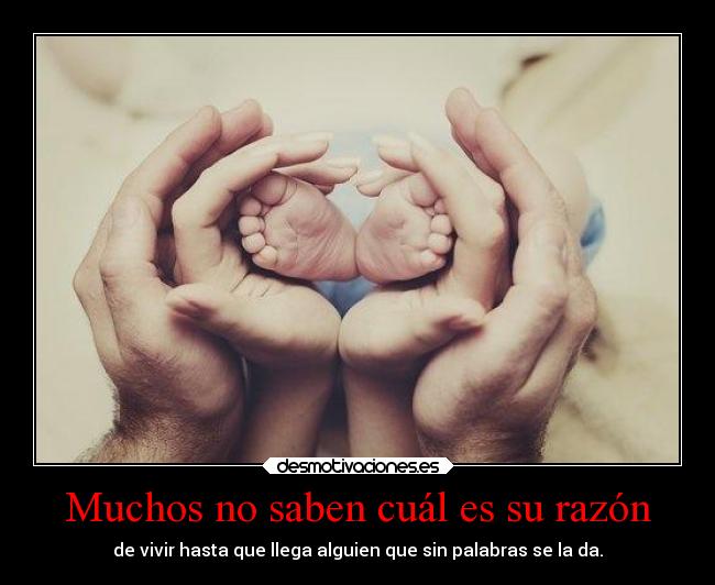 carteles desmotivaciones familia amor desmotivaciones