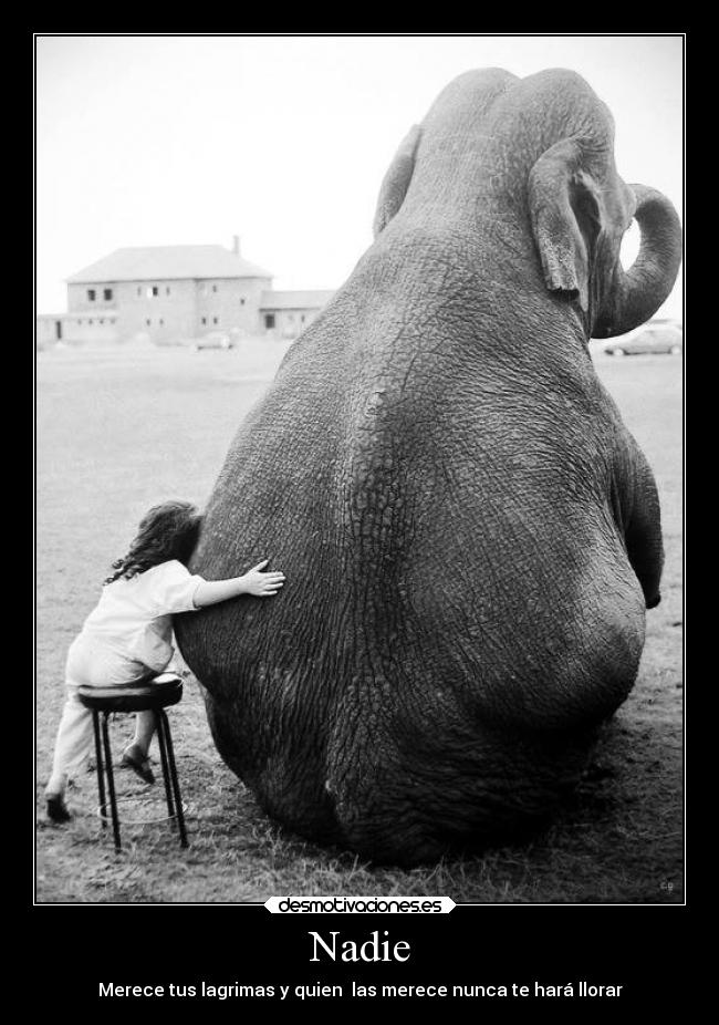 Nadie - Merece tus lagrimas y quien  las merece nunca te hará llorar