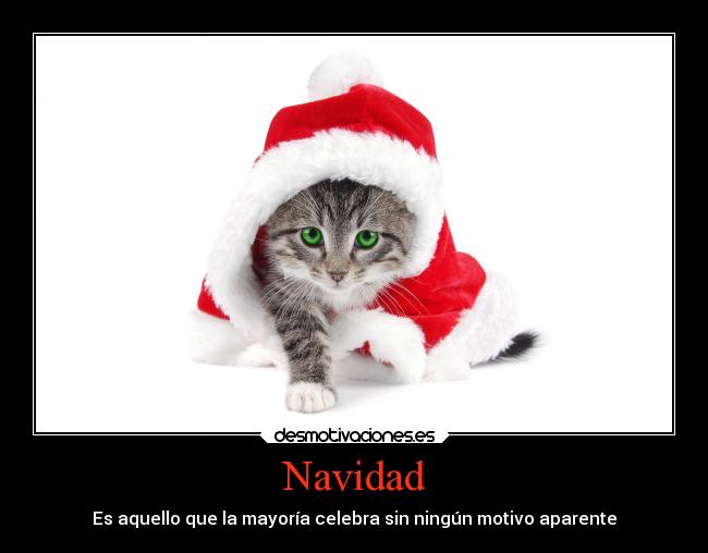 Navidad - Es aquello que la mayoría celebra sin ningún motivo aparente