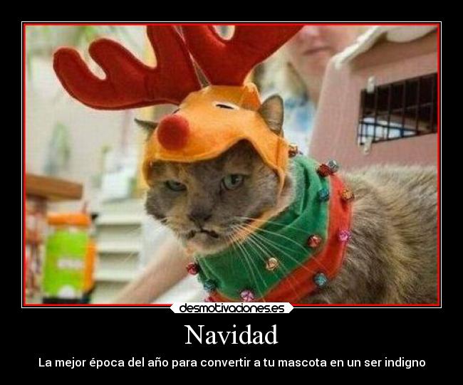 Navidad - 