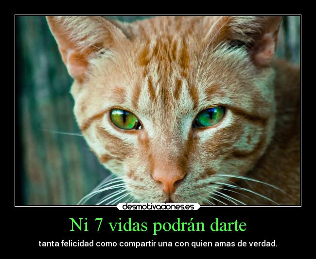 Ni 7 vidas podrán darte -