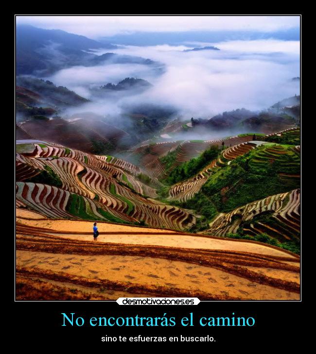 No encontrarás el camino -