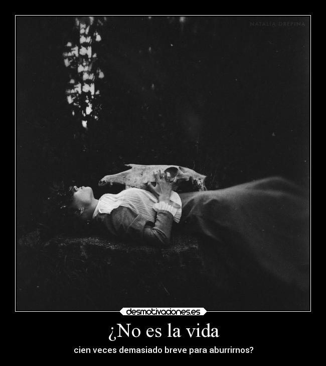 ¿No es la vida - 