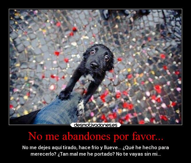 No me abandones por favor... -