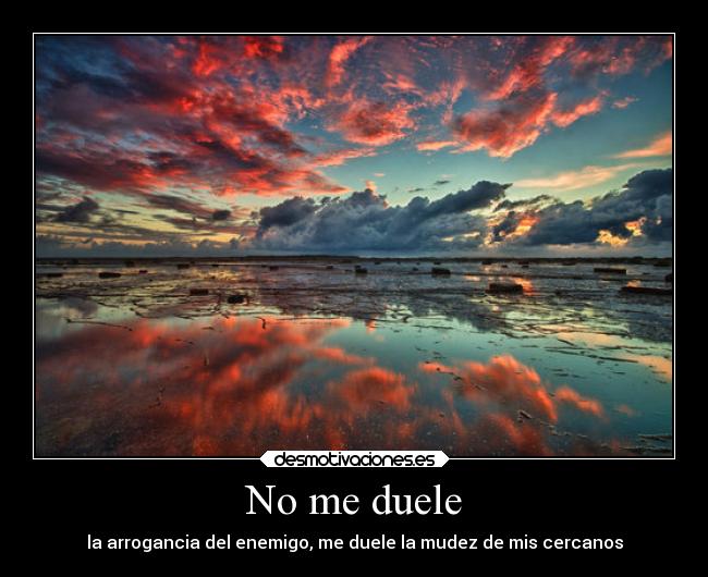 No me duele - la arrogancia del enemigo, me duele la mudez de mis cercanos