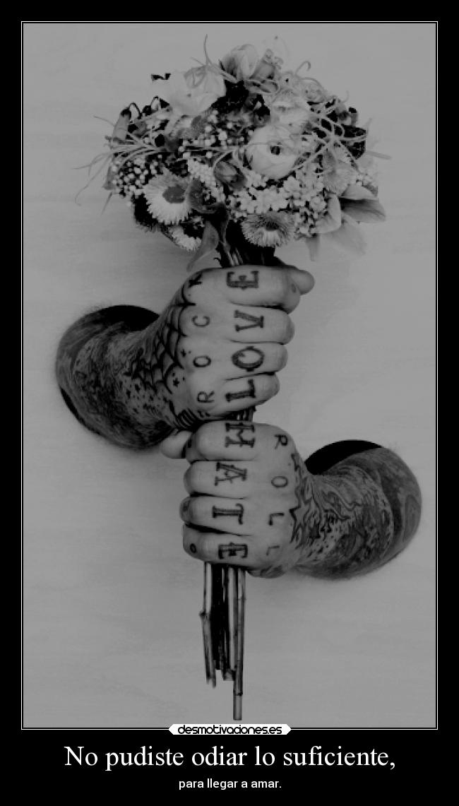 No pudiste odiar lo suficiente, - para llegar a amar.