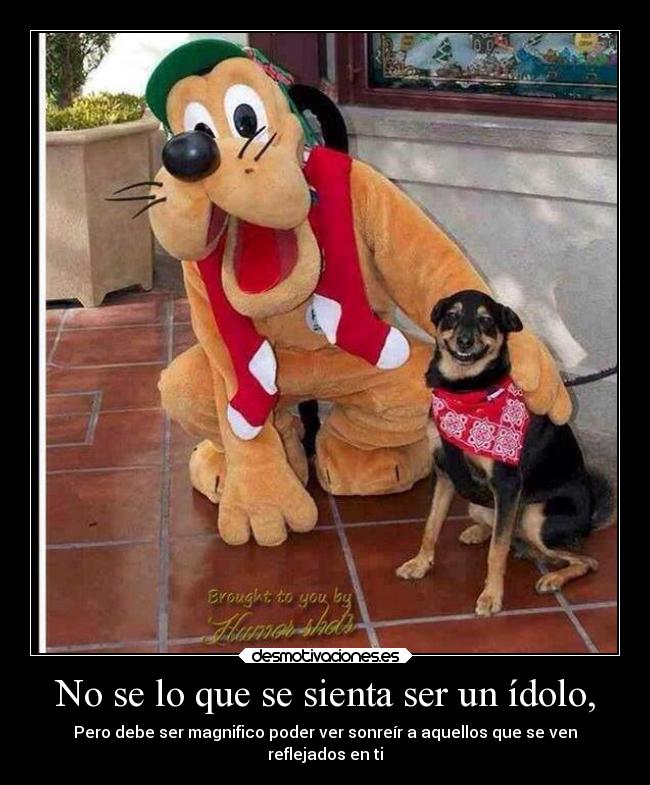 No se lo que se sienta ser un ídolo, - Pero debe ser magnifico poder ver sonreír a aquellos que se ven
reflejados en ti