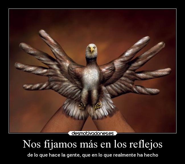 Nos fijamos más en los reflejos - 