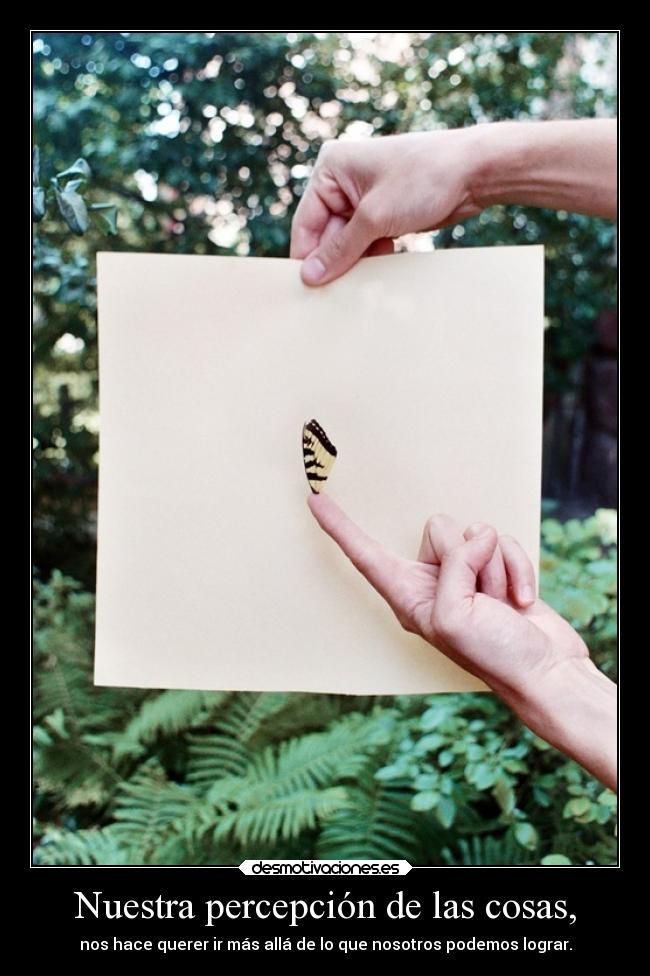 Nuestra percepción de las cosas, - 