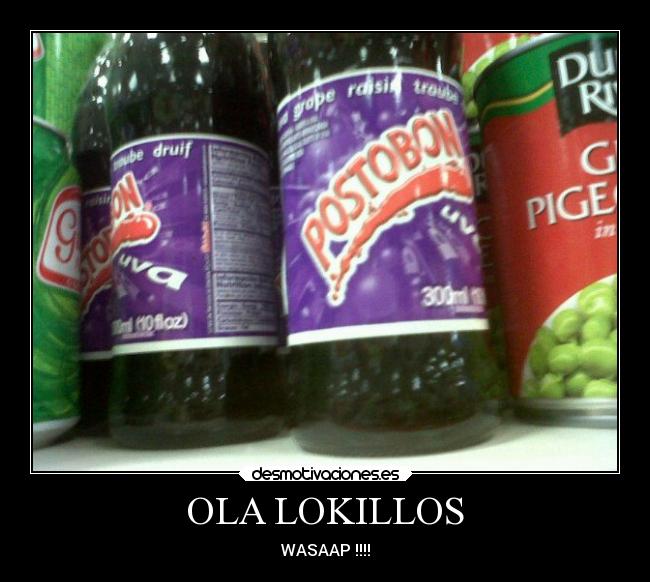 OLA LOKILLOS - WASAAP !!!!