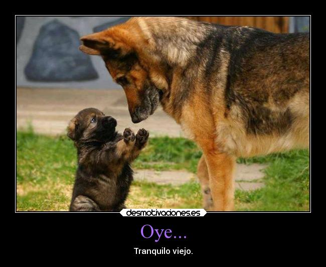 Oye... - Tranquilo viejo.