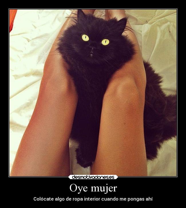 Oye mujer - Colócate algo de ropa interior cuando me pongas ahí