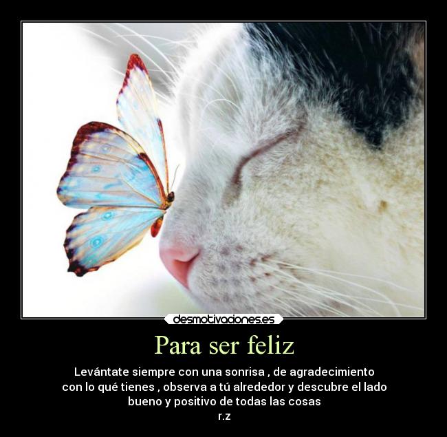 Para ser feliz - Levántate siempre con una sonrisa , de agradecimiento
con lo qué tienes , observa a tú alrededor y descubre el lado
bueno y positivo de todas las cosas
r.z