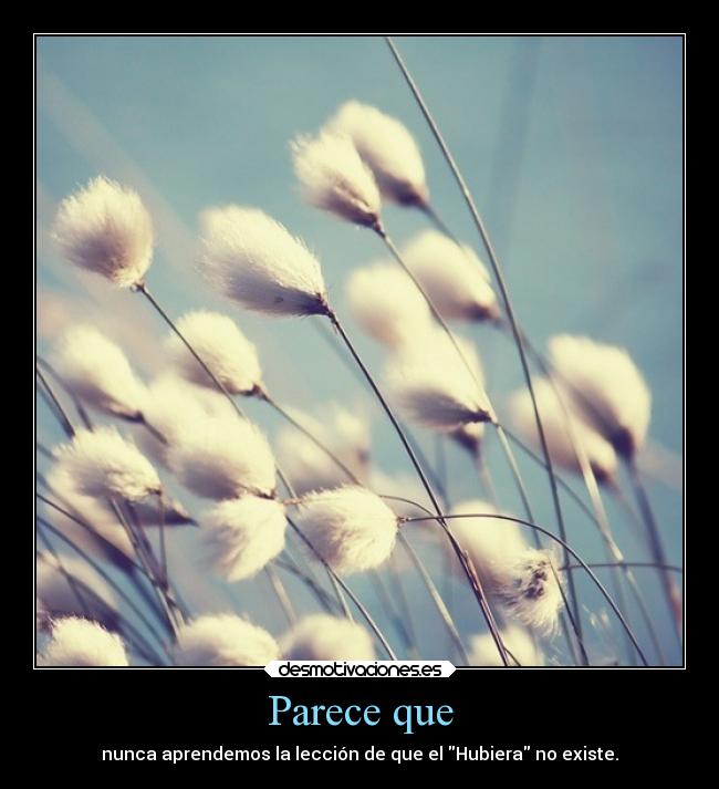 Parece que - nunca aprendemos la lección de que el Hubiera no existe.